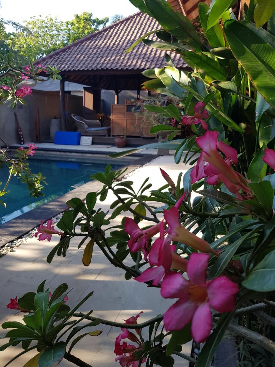 גילי טרוונגן Gili Exotic Villa מראה חיצוני תמונה