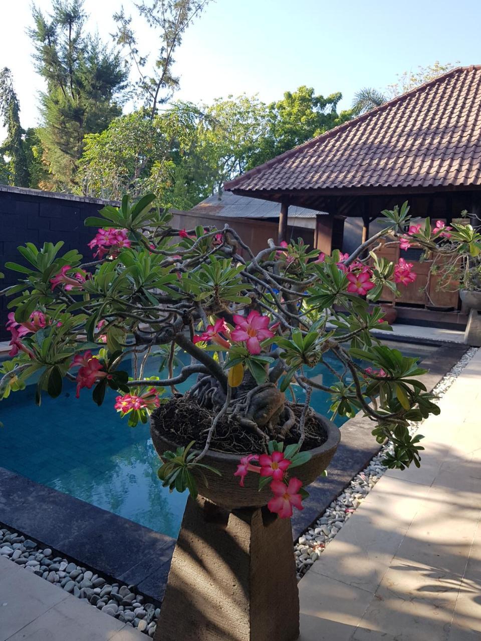 גילי טרוונגן Gili Exotic Villa מראה חיצוני תמונה